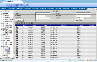 变压器工厂ERP系统全攻略 价格、厂家、图片与软件开发详解