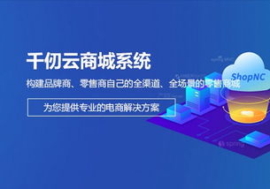 软件产品与基础软件服务 驱动数字化转型的双引擎